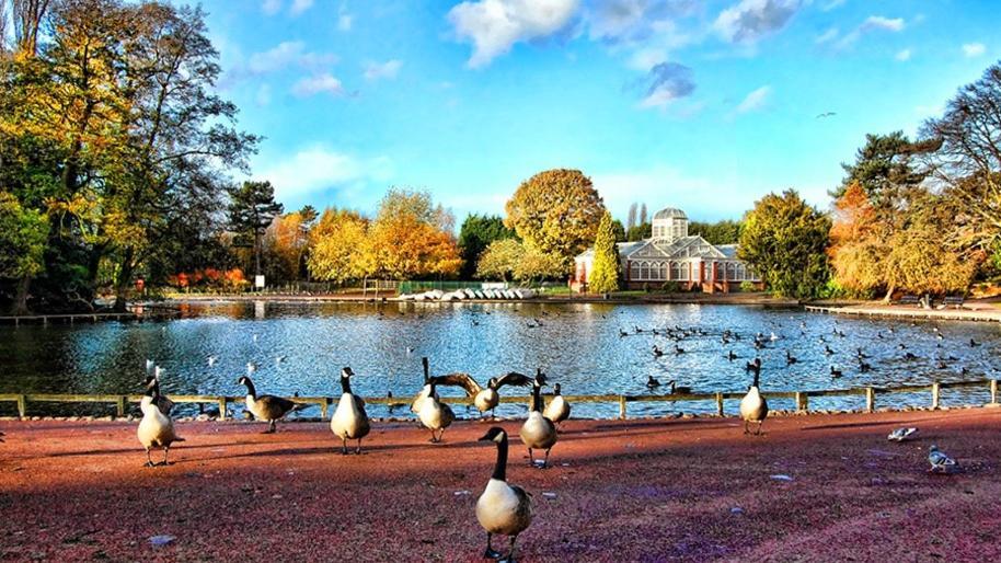 West Park Annex - Central Wolverhampton Bagian luar foto